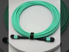 HZ-8BMPOOM3（300）-10M