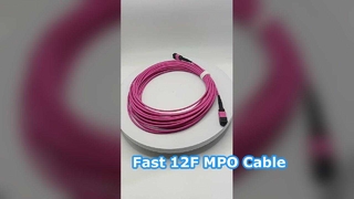 12F MPO(F)-MPO(F)-OM4-3.0-10M Type B